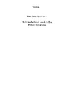 Дрдла Ф. Roszabokor Czardas для скрипки и фортепиано_Страница_1.jpg