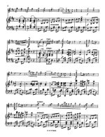 Дрдла Ф. Roszabokor Czardas для скрипки и фортепиано_Страница_8.jpg