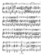 Дрдла Ф. Roszabokor Czardas для скрипки и фортепиано_Страница_9.jpg