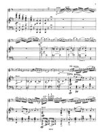 Дулов Г. Концертное Аллегро op.4_Страница_07.jpg