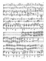 Зильхер Х. Концерт для двух скрипок с оркестром op.9_Страница_09.jpg