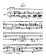 Зитт Г. Концертино №2 для скрипки и фортепиано op.31_Страница_01.jpg
