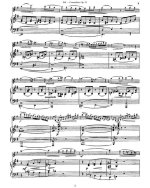 Зитт Г. Концертино №2 для скрипки и фортепиано op.31_Страница_02.jpg