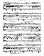 Зитт Г. Концертино №2 для скрипки и фортепиано op.31_Страница_05.jpg