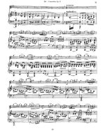 Зитт Г. Концертино №2 для скрипки и фортепиано op.31_Страница_10.jpg