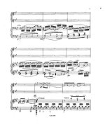 Изаи Э. Amiti для двух скрипок и фортепиано_Страница_09.jpg