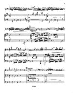 Изаи Э. Au Rouet op.13_Страница_05.jpg