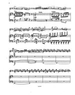 Изаи Э. Au Rouet op.13_Страница_06.jpg