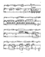 Изаи Э. Au Rouet op.13_Страница_07.jpg