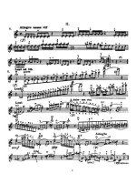 Изаи Э. Прелюдии (Упражнения) для скрипки соло op.35_Страница_04.jpg