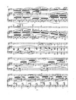 Ипполитов-Иванов М. Соната для скрипки и фортепиано op.8_Страница_06.jpg