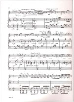 Кастельнуово-Тедеско. Концертный парафраз на темы оперы Россини 'Севильский цирюльник'_Страниц...jpg