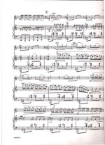 Кастельнуово-Тедеско. Концертный парафраз на темы оперы Россини 'Севильский цирюльник'_Страниц...jpg