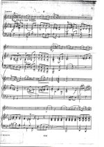 Каструччи П. Концерт для скрипки_Страница_02.jpg