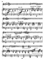 Крейслер Ф. Цыганка_Страница_4.jpg