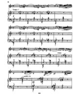 Крейслер Ф. Цыганское каприччио_Страница_09.jpg