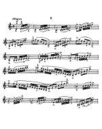 Крейцер Р. Этюды_Страница_004.jpg