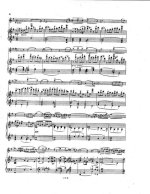 Кубелик Я. Концерт №1 для скрипки_Страница_06.jpg