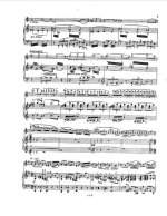 Кубелик Я. Концерт №1 для скрипки_Страница_07.jpg