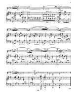 Лало Э. Гитара для скрипки и фортепиано op.28_Страница_07.jpg