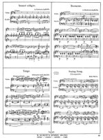 Лало Э. Русский концерт op.29_Страница_02.jpg