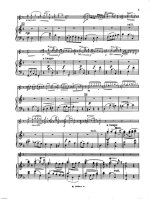 Леклер Ж. Концерт для скрипки с оркестром op.7 №1_Страница_08.jpg