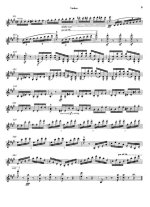 Лист Ф. Большой концертный дуэт для скрипки и фортепиано_Страница_09.jpg