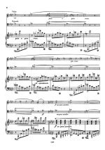 Лист Ф. Элегия №2 для скрипки (или виолончели) и фортепиано_Страница_09.jpg