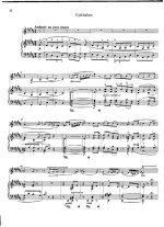 Лист Ф. Эпиталам для скрипки и фортепиано_Страница_1.jpg