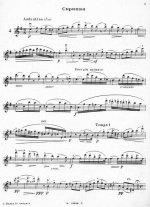 Львов А. 24 каприса для скрипки и фортепьяно (Тетрадь 1)_Страница_09.jpg