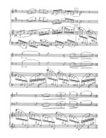 Лятошинский Б. Трио №1 для фортепиано, скрипки и виолончели_Страница_04.jpg