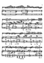 Маллинг О. Концертная фантазия для скрипки_Страница_05.jpg