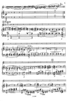 Мартину Б. Концерт №2 для скрипки_Страница_09.jpg