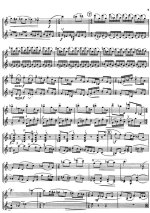 Мартину Б. Три мадригала для скрипки и альта_Страница_07.jpg