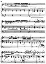 Марчелло Б. Адажио_Страница_2.jpg