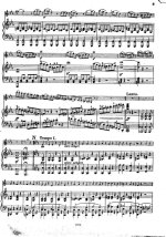 Мендельсон Ф. Увертюра 'Рюи Блаз' для скрипки и фортепиано_Страница_09.jpg