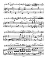 Мострас К. Парафразы на 'Венецианский карнавал' Эрнста для скрипки и фортепиано_Страница_07.jpg