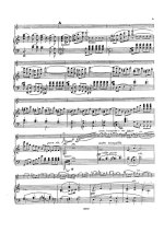 Мошковский М. Концерт для скрипки op.30_Страница_003.jpg