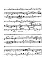 Мошковский М. Концерт для скрипки op.30_Страница_008.jpg