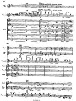 Мясковский Н. Концерт для скрипки_Страница_010.jpg