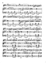 Няга Г. Скерцино_Страница_2.jpg