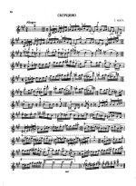 Няга Г. Скерцино_Страница_5.jpg