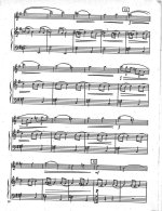 Подвала В. Концерт для скрипки с оркестром_Страница_08.jpg