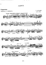 Пуньяни Г. Ларго_Страница_1.jpg