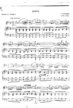 Пуньяни Г. Ларго_Страница_3.jpg