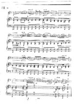 Пуньяни Г. Ларго_Страница_5.jpg