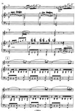 Пьяццолла А. Adios Nonino_Страница_3.jpg