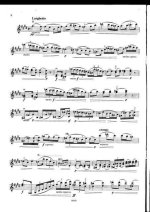 Регер М. Сонаты_Страница_06.jpg