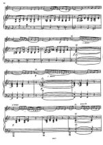 Римский-Корсаков Н. Ария Шемаханской царицы из оперы Золотой Петушок_Страница_2.jpg