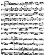 Рис Ф. Непрерывное движение_Страница_03.jpg